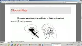 Психология трейдинга  Научный подход