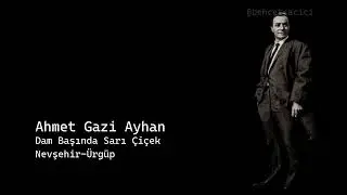 ahmet gazi ayhan dam başında sarı çiçek nevşehir ürgüp
