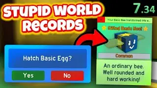 Dumb BSS World Records YOU Can BREAK...