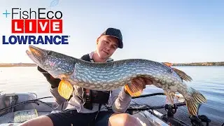 Försommarfiske efter gädda med David Lundh