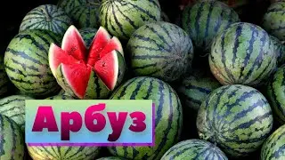 Арбуз | Как это сделано