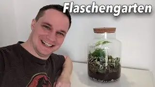 Wir basteln einen Flaschengarten / Biosphäre! Mal was Entspannendes!