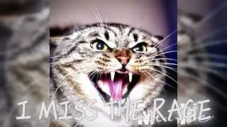 I miss the RAGE😡  || Sped Up Edit Audio