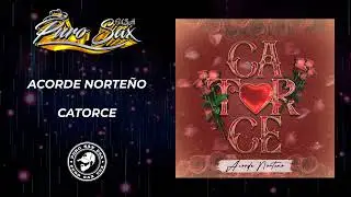 Acorde Norteño | Catorce | Puro Sax USA