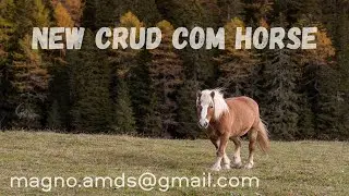 2024.013 - New CRUD com Horse - P04
