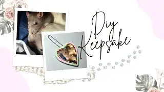 DIY Keepsake | Tiny rodent photo frame