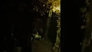 просто новая песня