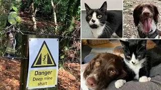 Cat Survives Fall 100 Ft Down Mineshaft Unharmed Thanks to Rescuers and Protective Family Dog