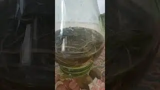 Подорожник на связи