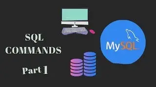 SQL Commands | Use Command | Show Command | Create Command with example | SQL Command in DBMS | DBMS