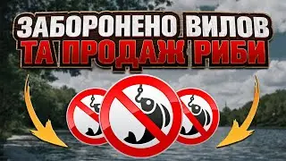 ЗАБОРОНА на ВИЛОВ та ПРОДАЖ РИБИ в УКРАЇНІ