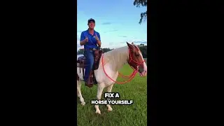 Get Your Confidence Level Above Your Horse's Difficulty Level! | The Horse Guru-Michael Gascon
