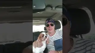 Анекдот. Напоминает...