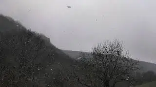 29 марта 2019 г.
