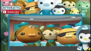 Octonauts Special The Swashbuckling Swordfish And The Manta Rays   YouTube