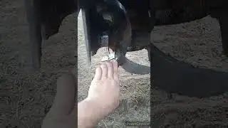 дополнительные ножи на фрезу