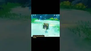Hidden precious chest in Fontaine 