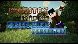 Forestry Гайд №5. Разведение деревьев!