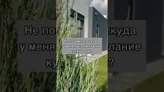 Откуда такое желание купить свой дом?🤔
