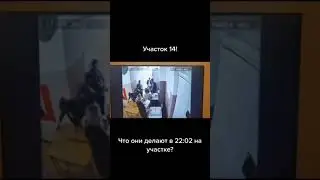 Ночной выбор