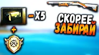 КАК ЛЕГКО И БЫСТРО ПОЛУЧИТЬ 5 ПРЕМИУМ КЕЙСОВ В ПУБГ Мобайл | ХАЛЯВА ПАБГ Мобайл | PUBG Mobile