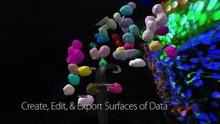 Tools Overview
