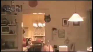 Justicia batman shitpost