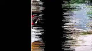 funny cat videos with Reko