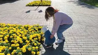 в горсаду 🙂☘️