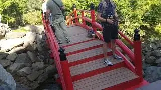 Японский сад в Парке Галицкого - Краснодар