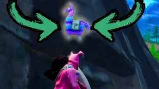 Found my first Pinata! | FORTNITE MOMENTS #34234