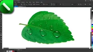 How To create Water Drop Shadow In CorelDRAW | Full Tutorial Step By Step |