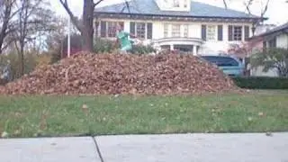 Biggest Leaf Pile EVER