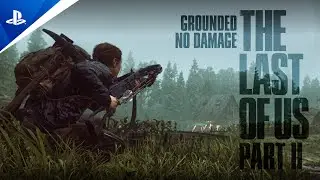 THE ISLAND | SCARS TERRITORY 4/5 | Stealth + Aggressive GP | Grounded-No Damage | THE LAST OF US 2