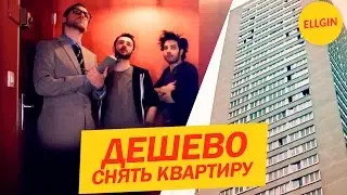 Как дешево снять квартиру (Ellgin)