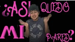 ASI QUEDÓ MI PARED PARTE 2