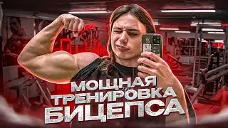 КАК НАКАЧАТЬ БОЛЬШОЙ БИЦЕПС БЕЗ ЖЕЛЕЗА?