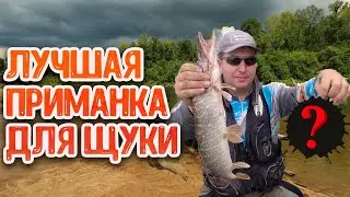 Секретная приманка для ловли в коряжнике