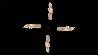 Stone statue of king #archeology #3d #heritage #hologram #king