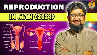 Reproduction in Man | One Shot Video