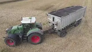 Zwiastun Żniw 2021 🍻