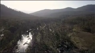 Camping On The Mann River (Diehard) -  Homeward Bound