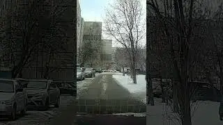25 ноября 2023 г.