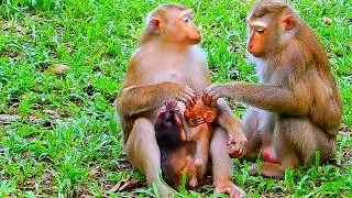Alfie and Loren are competing to breastfeed Amanda at the same time.
