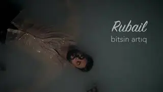 Bitsin artiq
