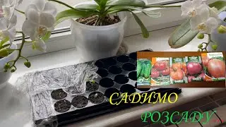 САДИМО РОЗСАДУ.