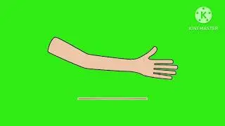 alexa green screen usefully for animation 