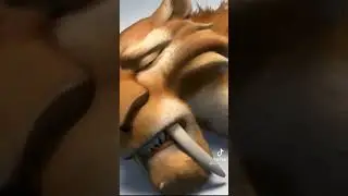Es la regla de una manada, entre todos nos ayudamos... LA ERA DE HIELO