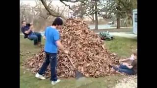 Came in like a Wrecking Ball into a Leaf Pile