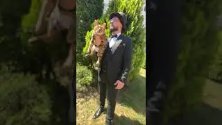 Новий образ 🎩